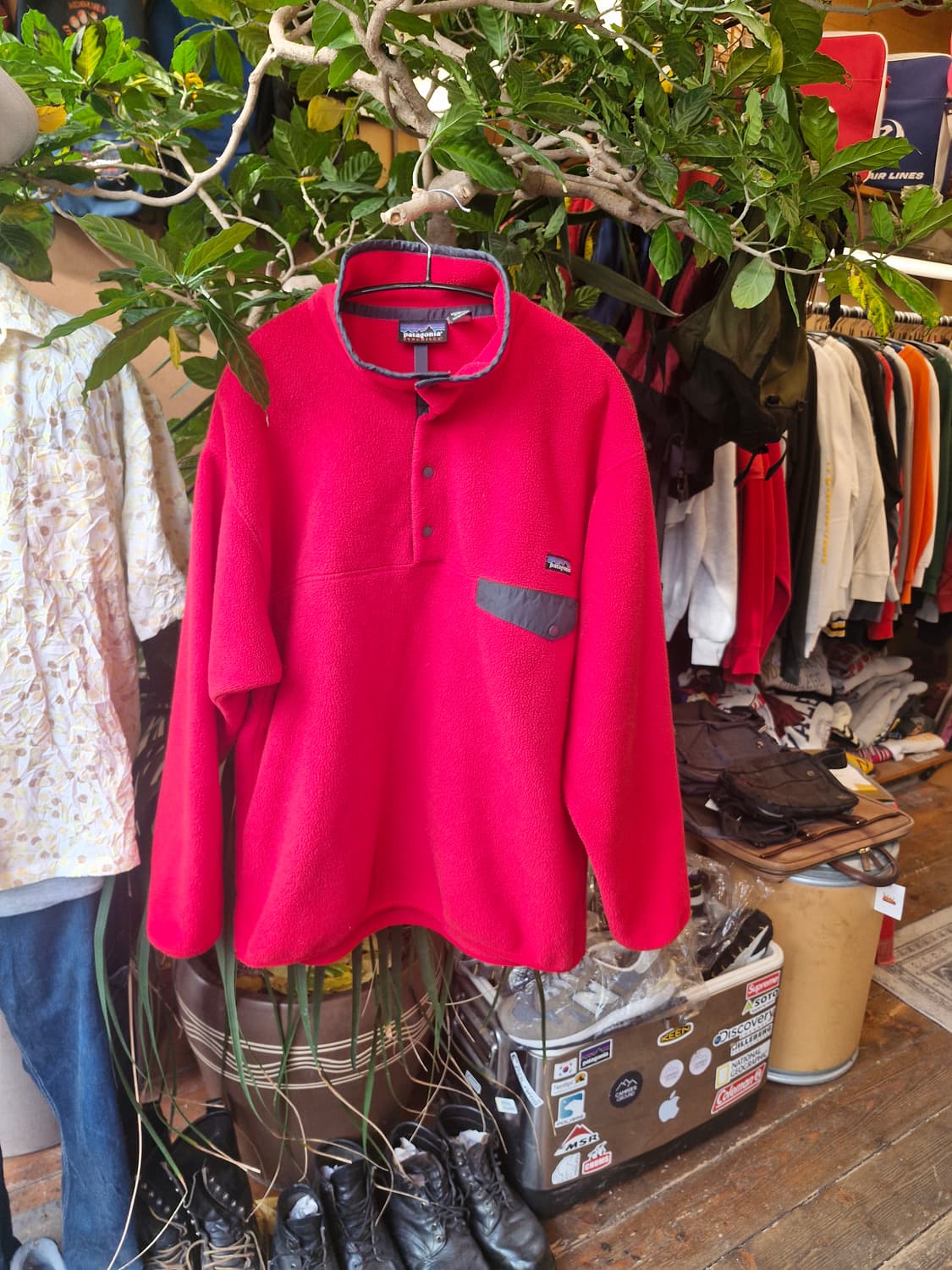 Z-274 파타고니아 신칠라  상품이미지1