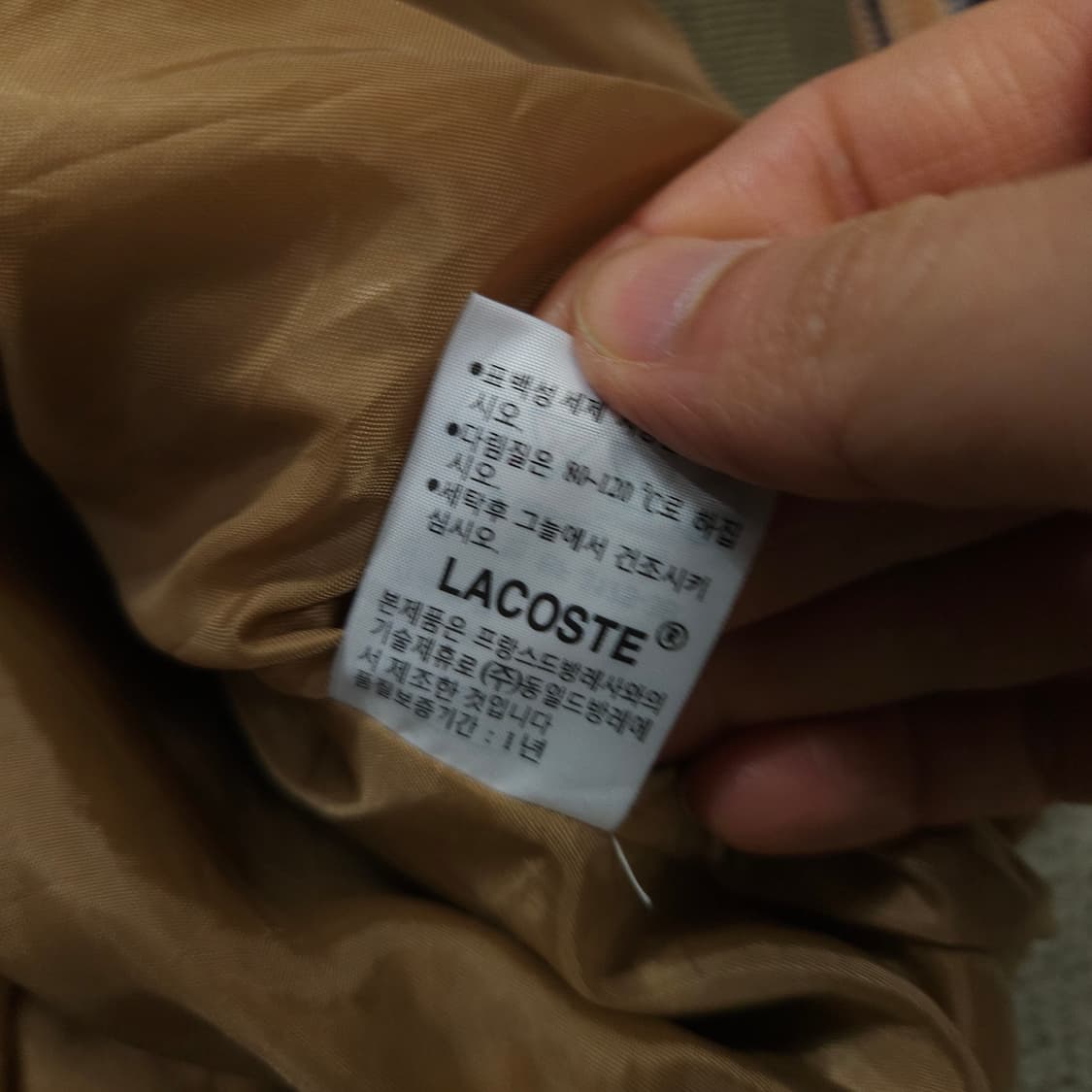 90s 라코스테 블루종 95 상품이미지6