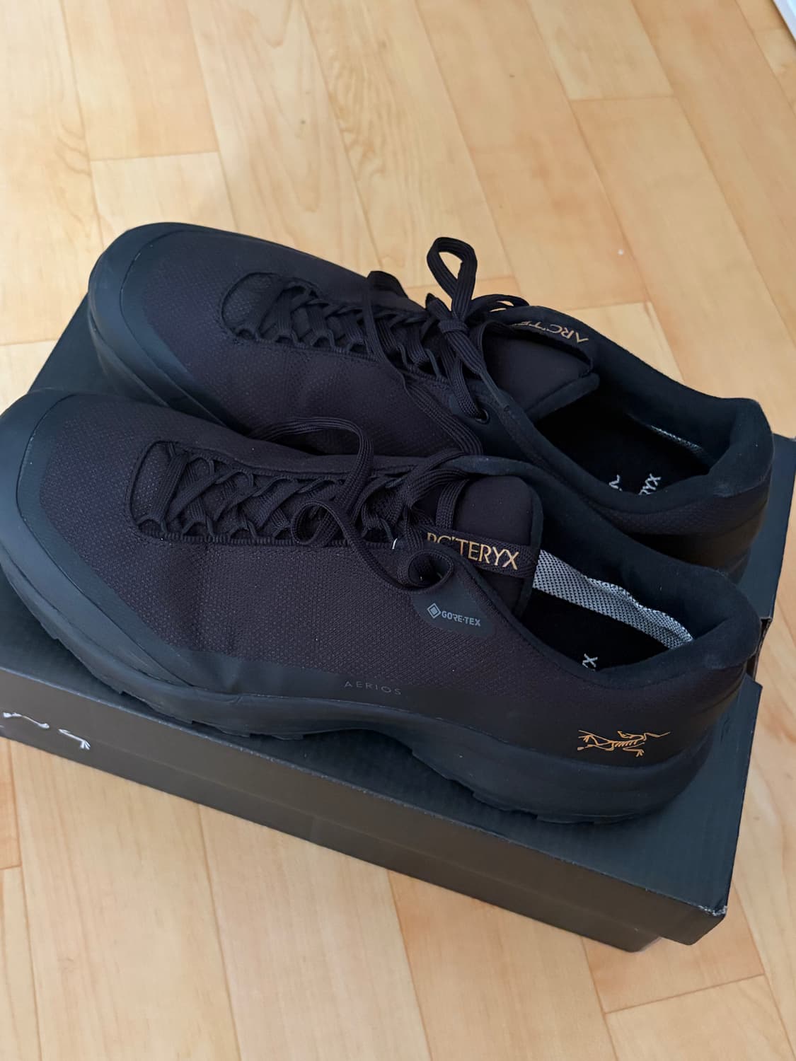 Arc'teryx Aerios FL2 GTX 275 상품이미지1