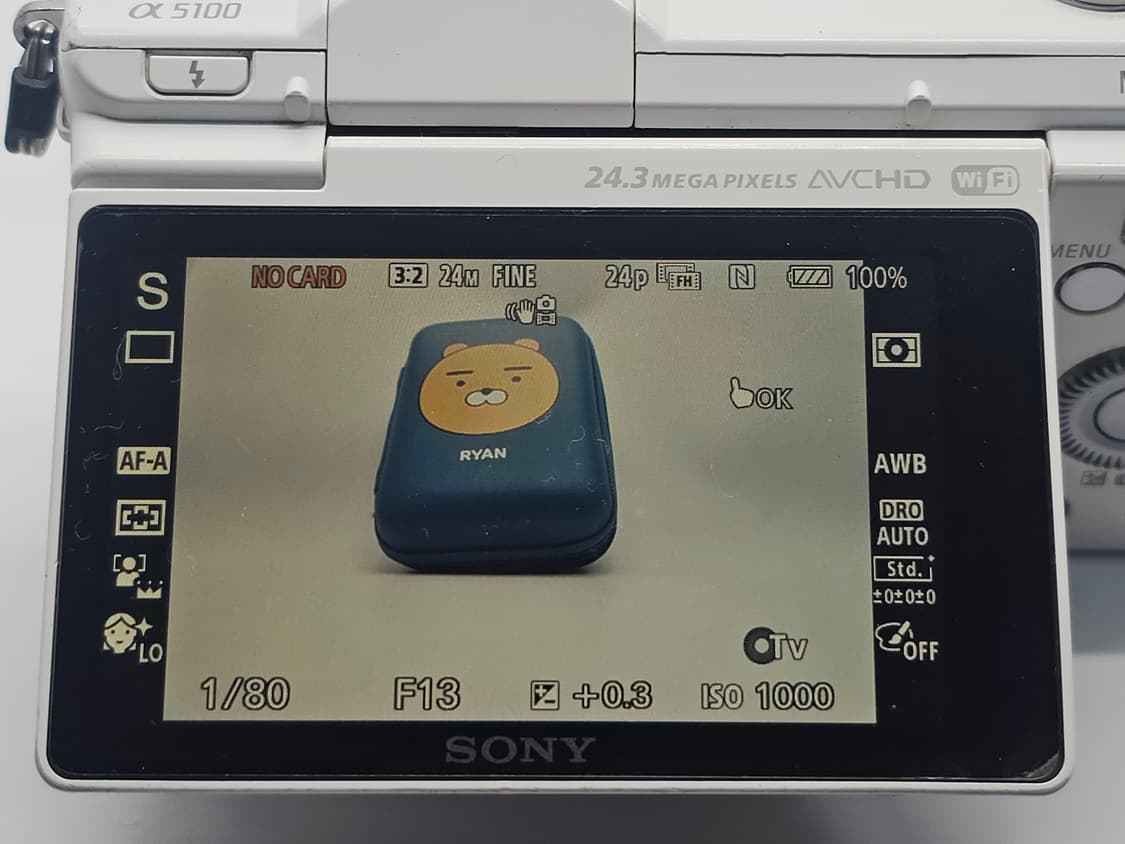 소니 알파 A5100 미러리스 카메라 상품이미지9