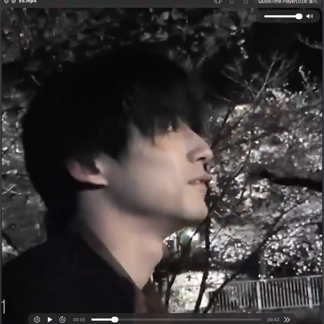 고마츠나나 캠코더 파나소닉 hdc tm35 화이트 (영상캡쳐본0) 상품이미지5