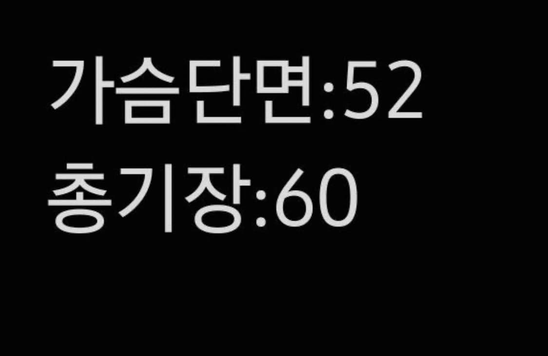 [정품/90] 노스페이스 써밋 850 패딩 조끼 상품이미지5