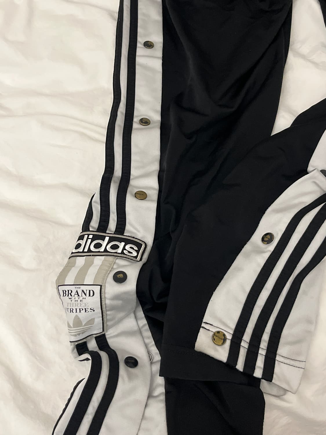 아디다스 트레이닝 팬츠 상품이미지3