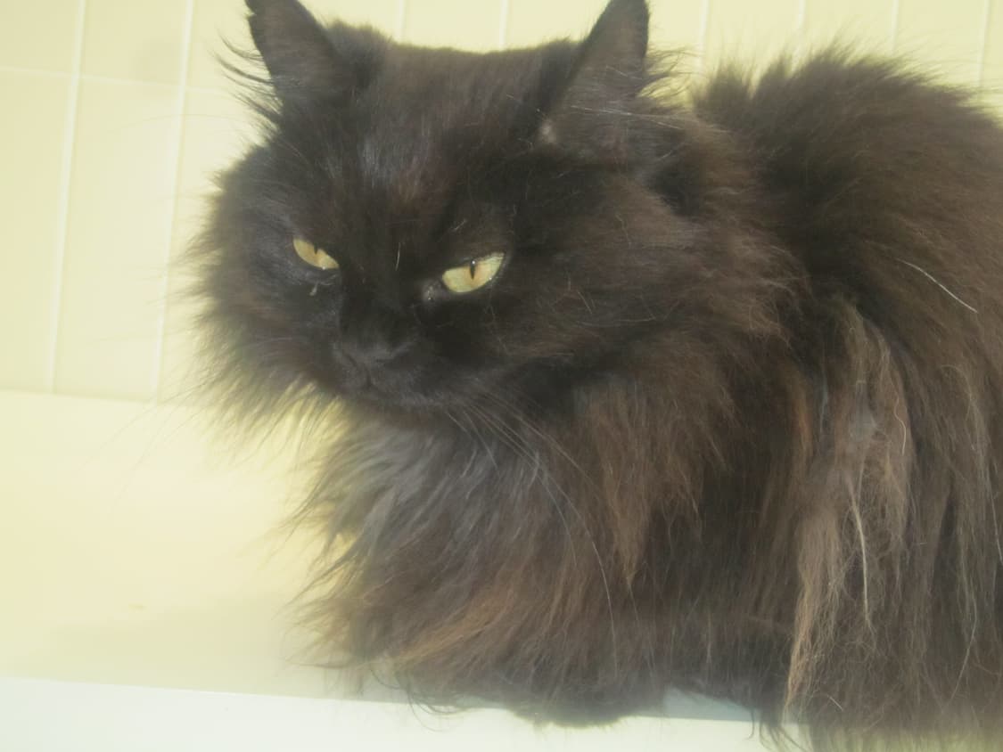 캐논 익서스 210 ixus 빈티지 핑크 디카 디지털 카메라 상품이미지5