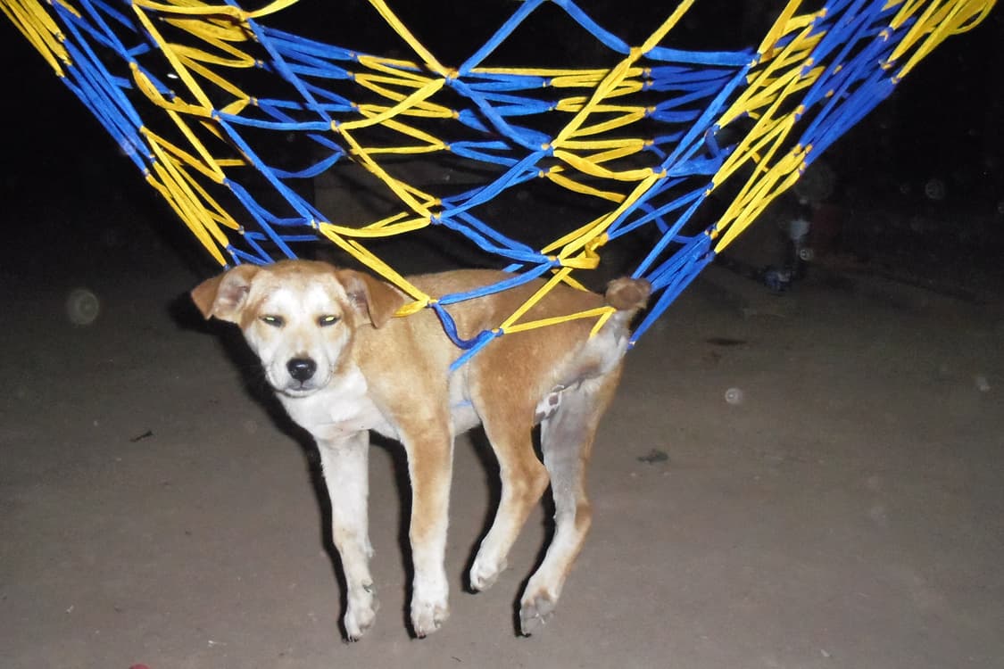 (프레임꾸미기💜) 펜탁스 옵티오 OPTIO LS465 디카 디지털카메라 상품이미지8