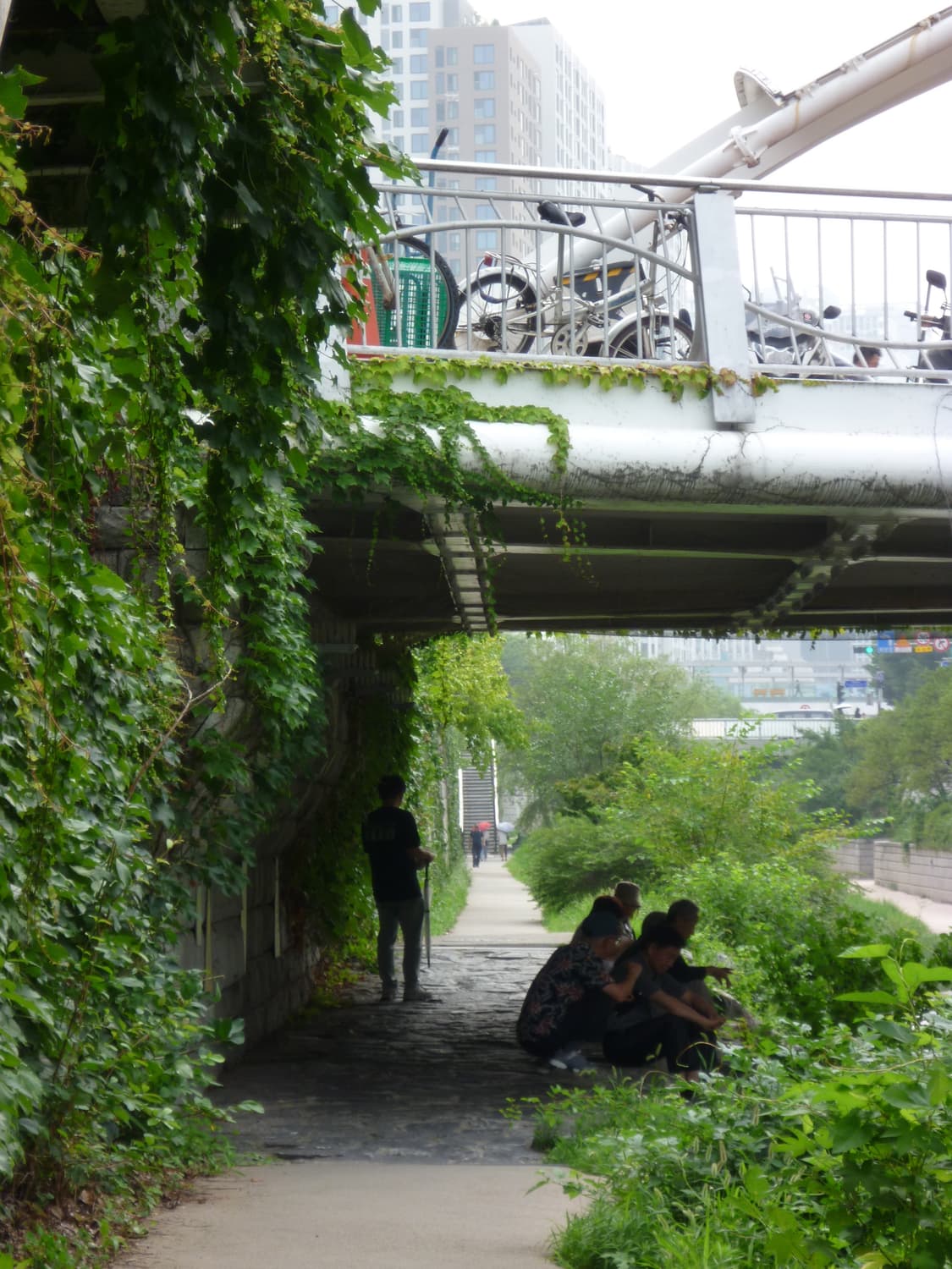 [추천템] 파나소닉 lumix DMC-LS1 핑크 빈티지디카  상품이미지7