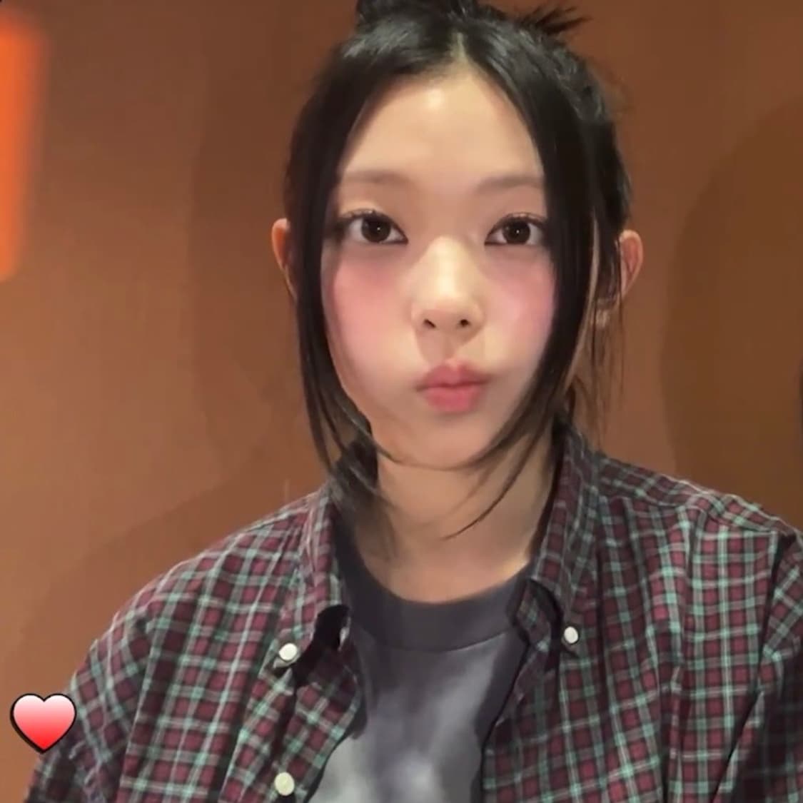 (M) 폴로 체크 셔츠 뉴진스 해린 상품이미지3