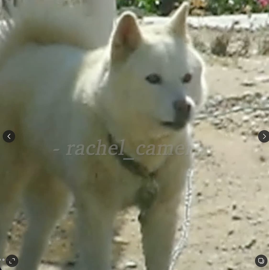 빈티지캠 산요 작티 c1(영상캡쳐본 0) 상품이미지5
