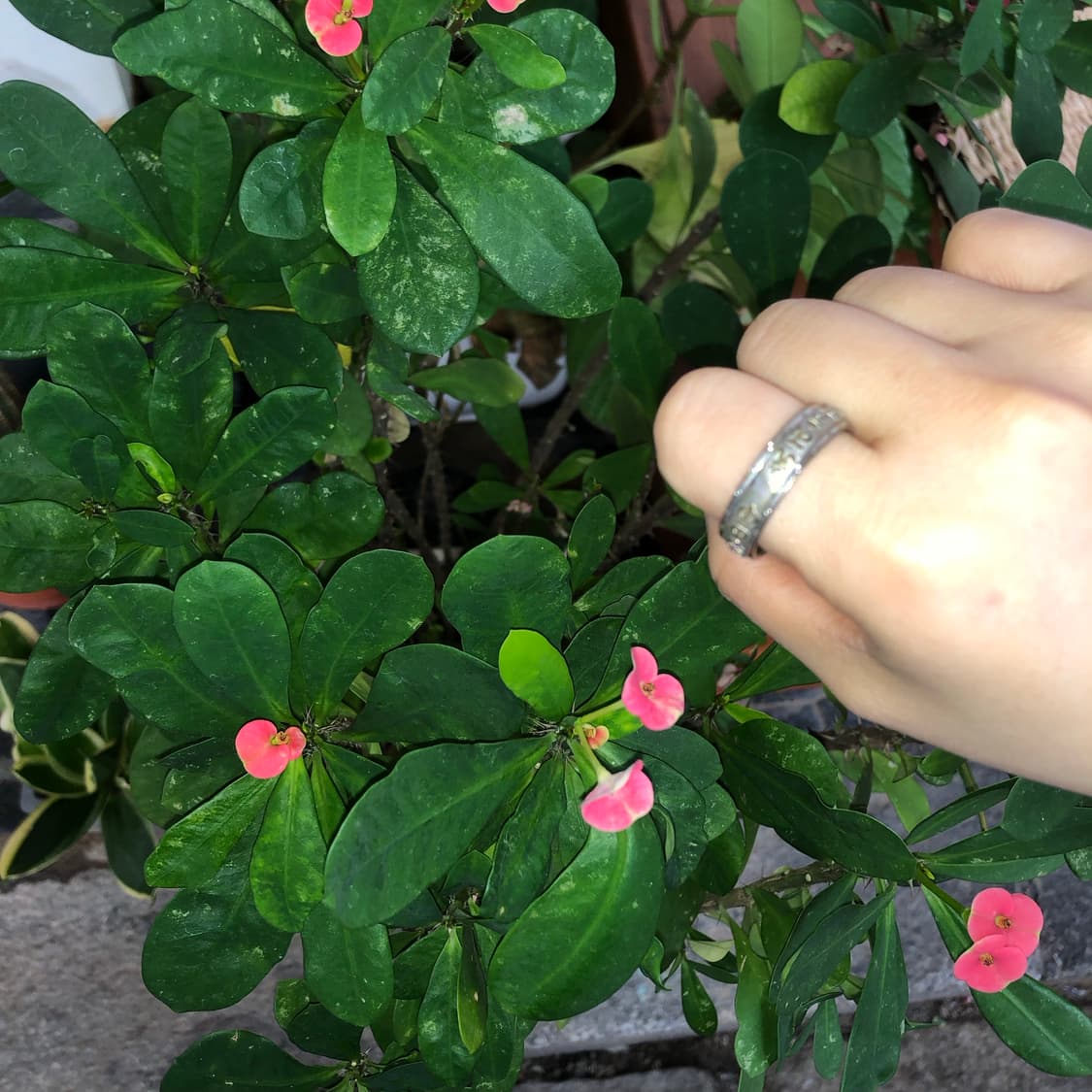 설명을 해주면 8 🧱  상품이미지2