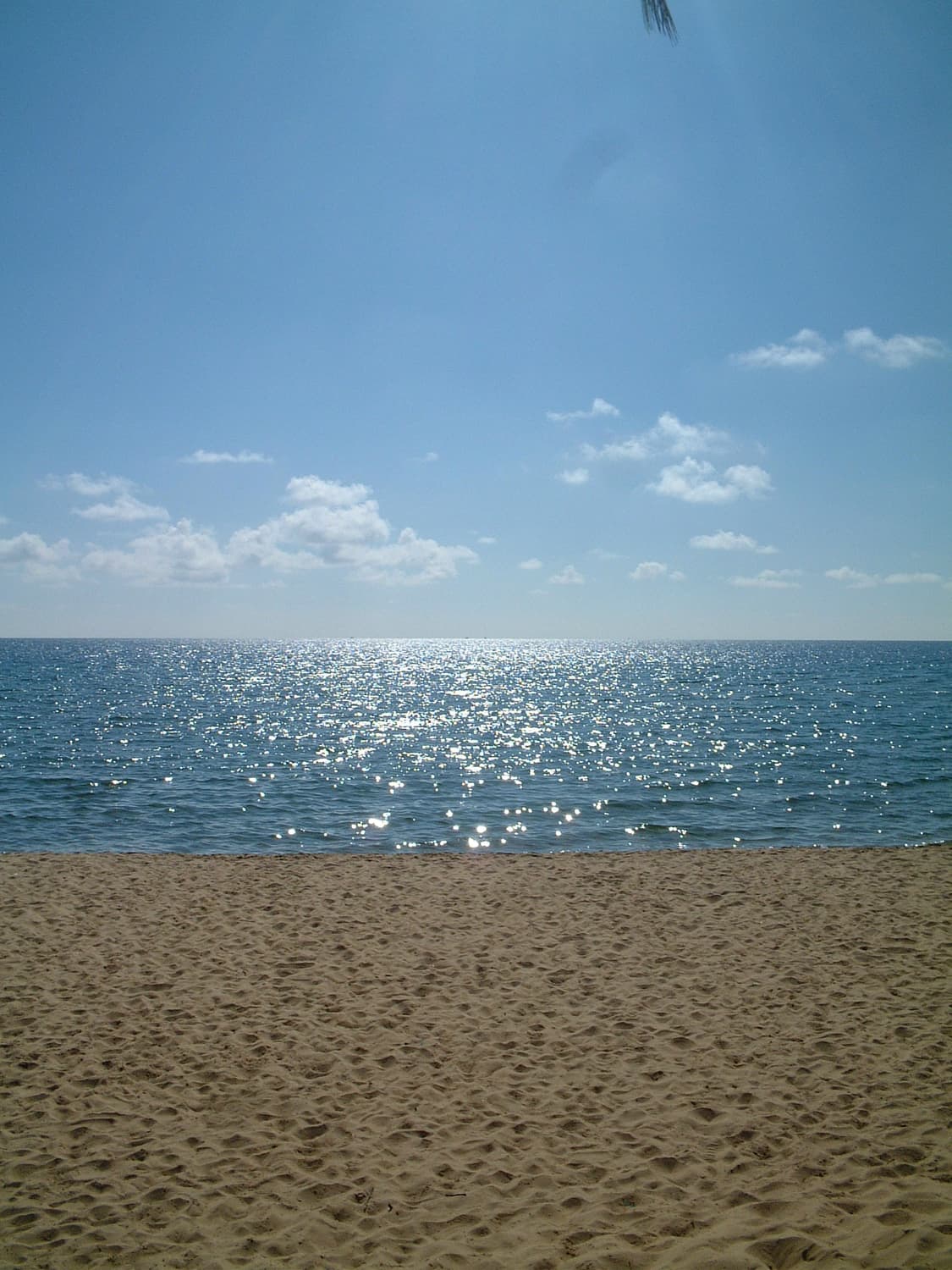 신동품! 99% 상태! 후지필름 파인픽스 40i 상품이미지3