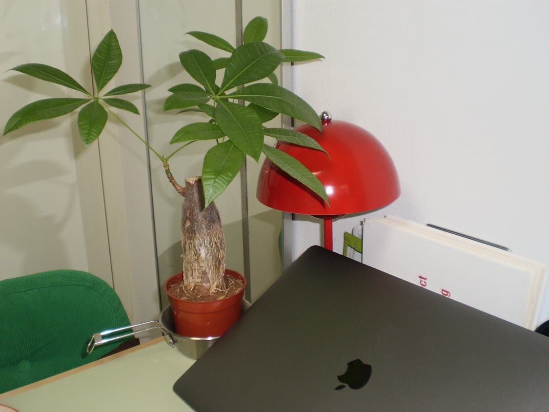 올림푸스 FE20 빈티지 디지털카메라 상품이미지9