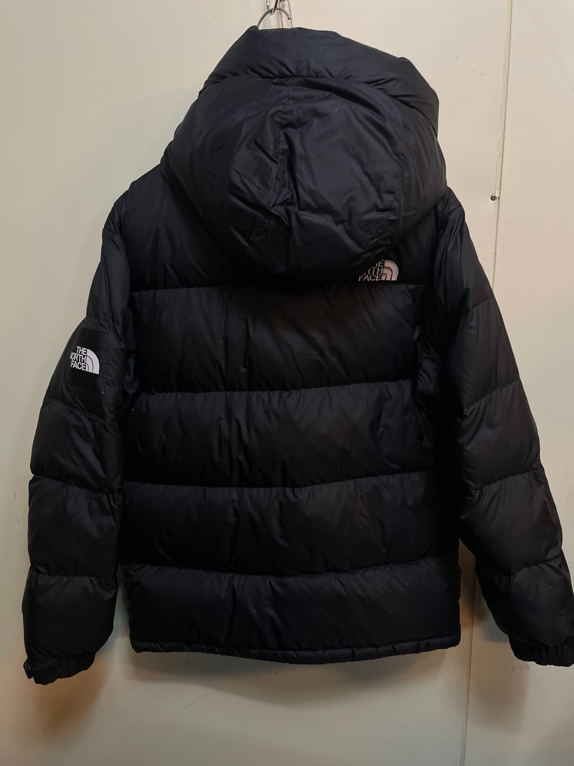 노스페이스 노벨티 시에라 오리털패딩 상품이미지6