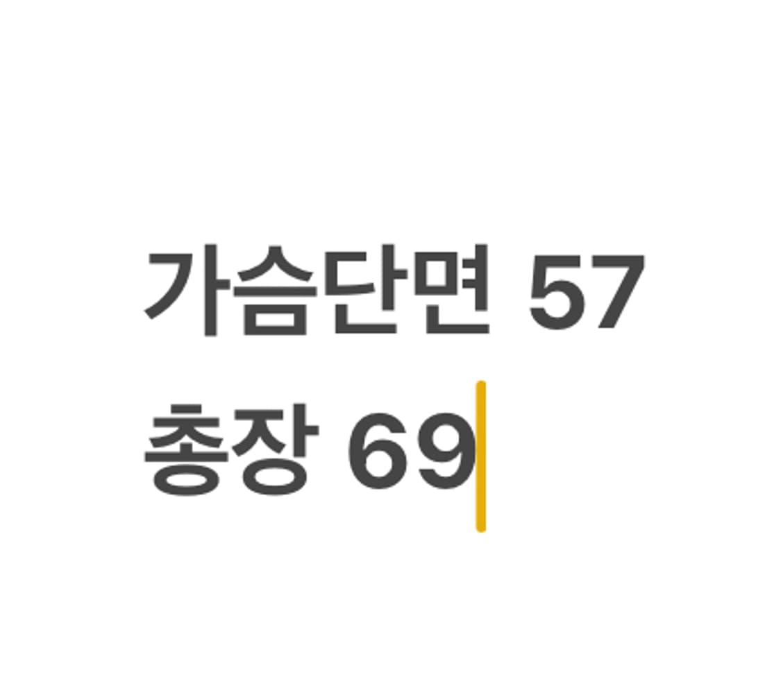 [ 정품/M ] 노스페이스 1996 레트로 700 눕시 조끼 패딩 b14 상품이미지8