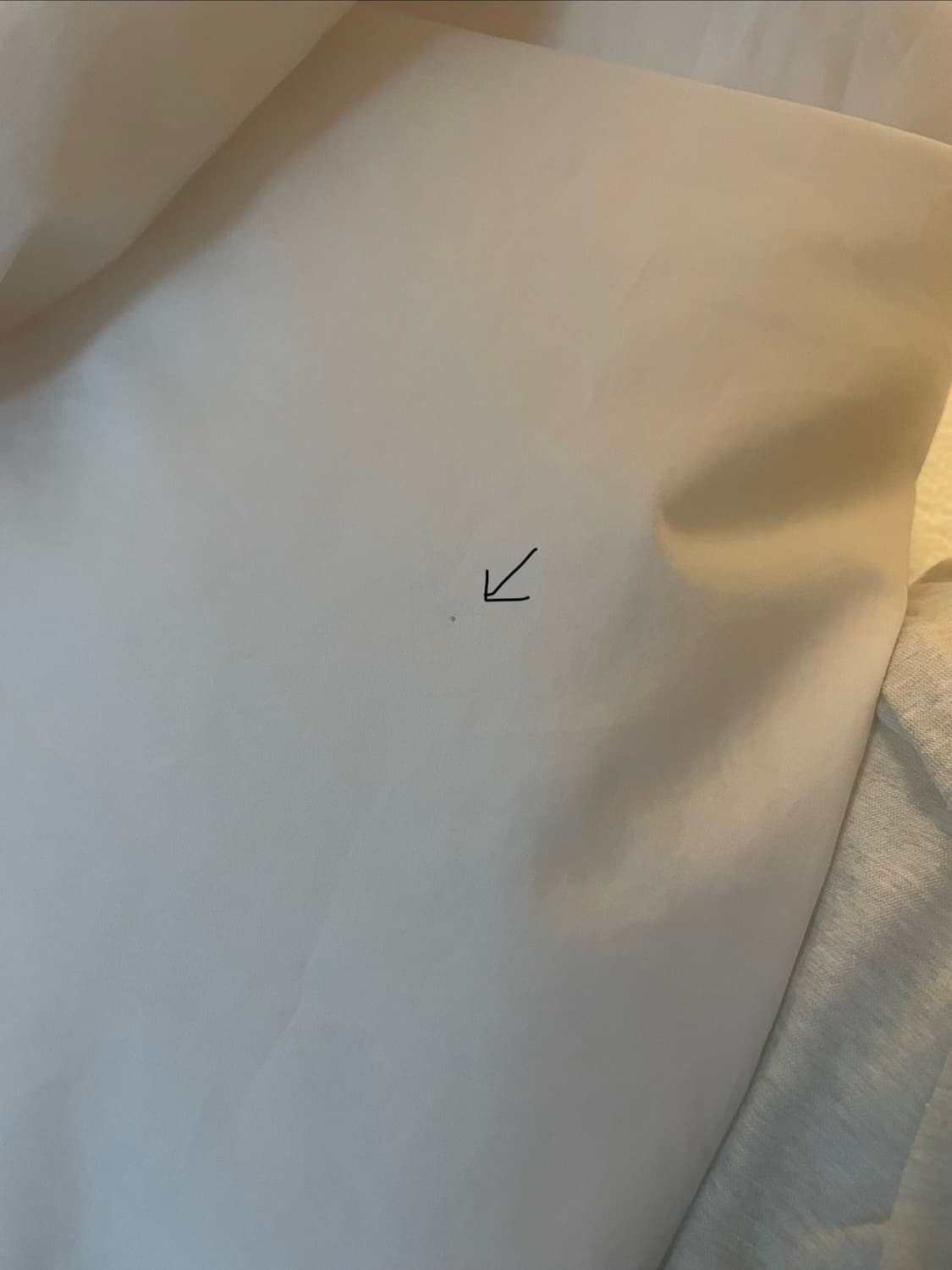르메르 21ss 코튼 포플린 셔츠 상품이미지8