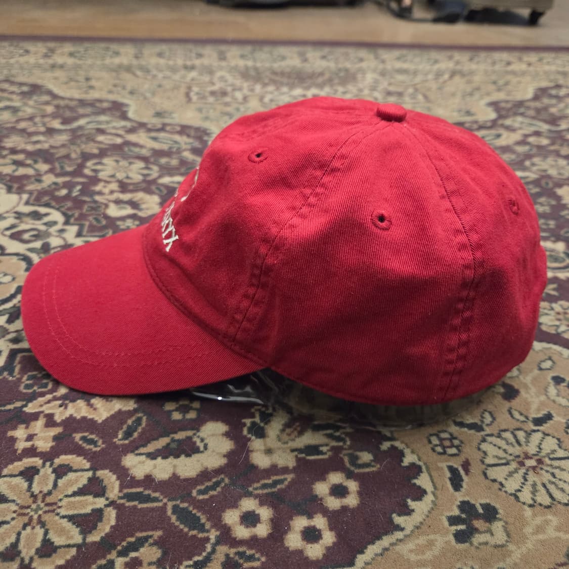 올드 아크테릭스 볼캡 상품이미지2