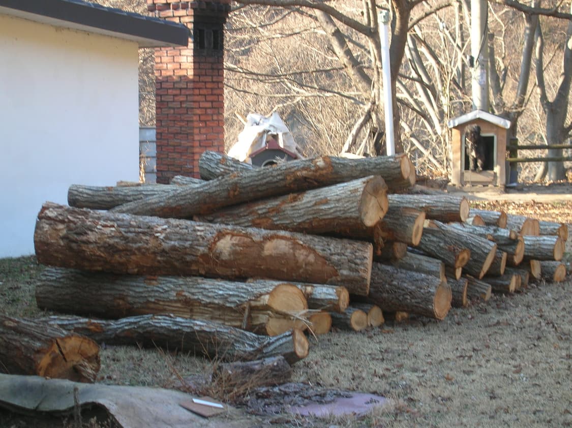 작례O) 니콘 쿨픽스 4100 Nikon COOLPIX 4100 상품이미지6