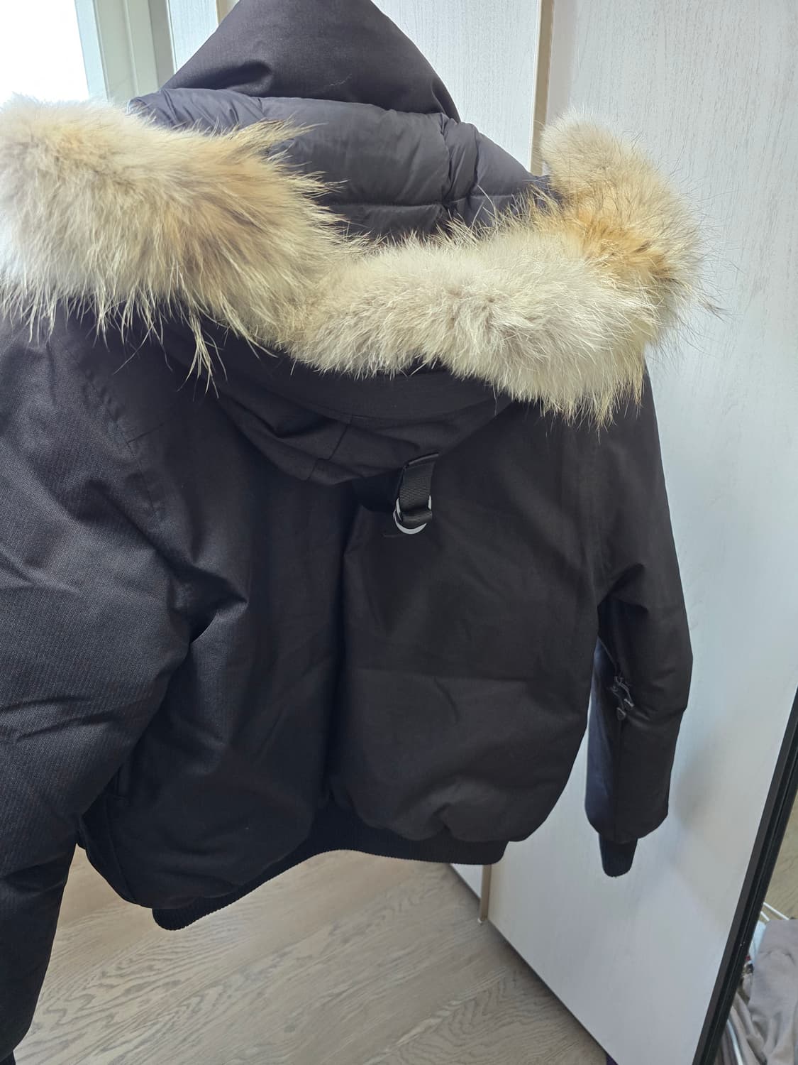 NOBIS CARTEL(BLACK) M 상품이미지5