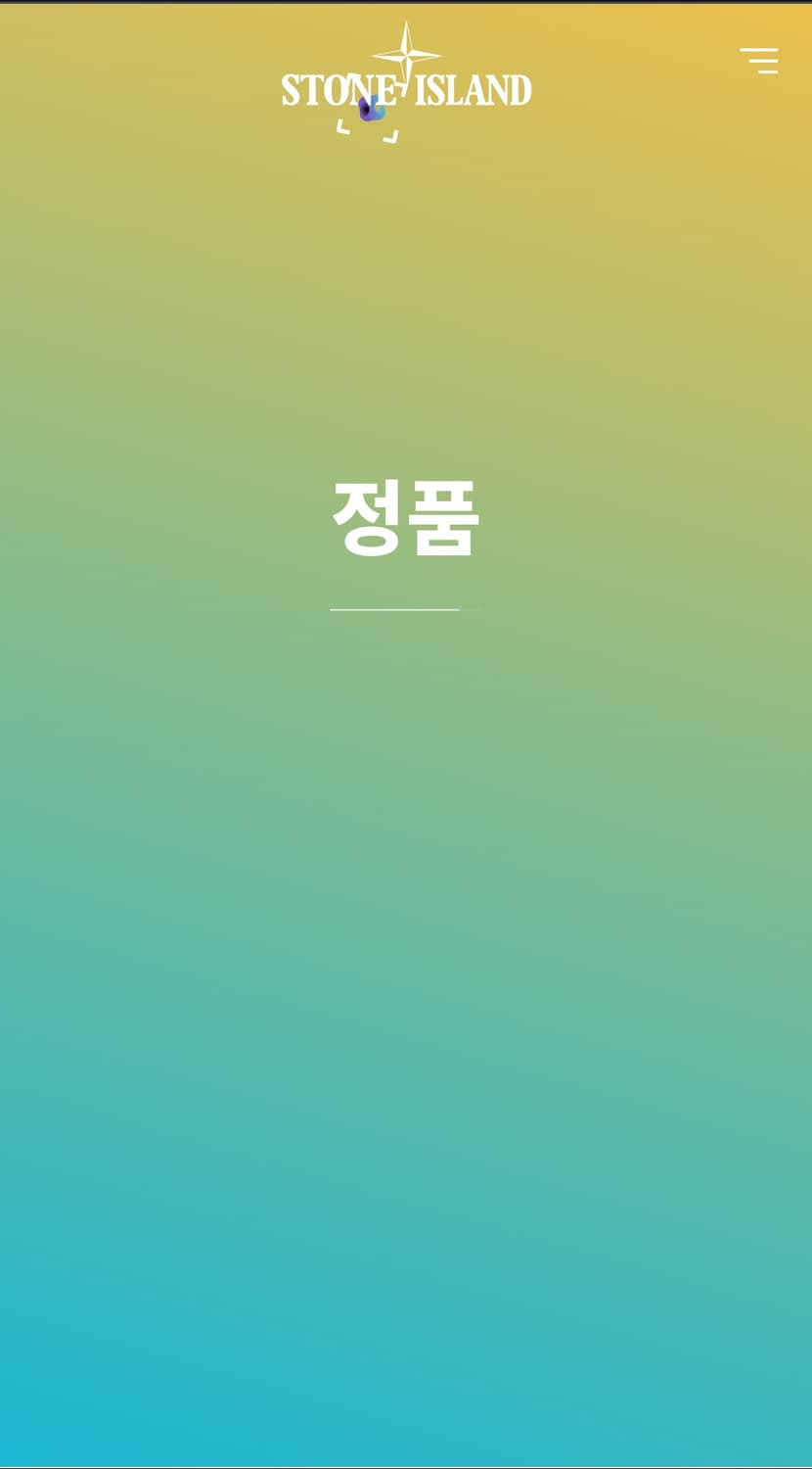 스톤 아일랜드 맨투맨 _xl 상품이미지6