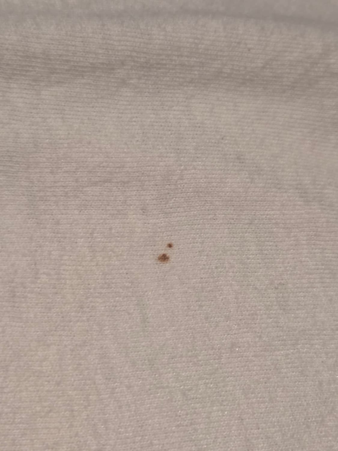 00's 제21회 크리스마스 베이스볼 티셔츠 상품이미지4