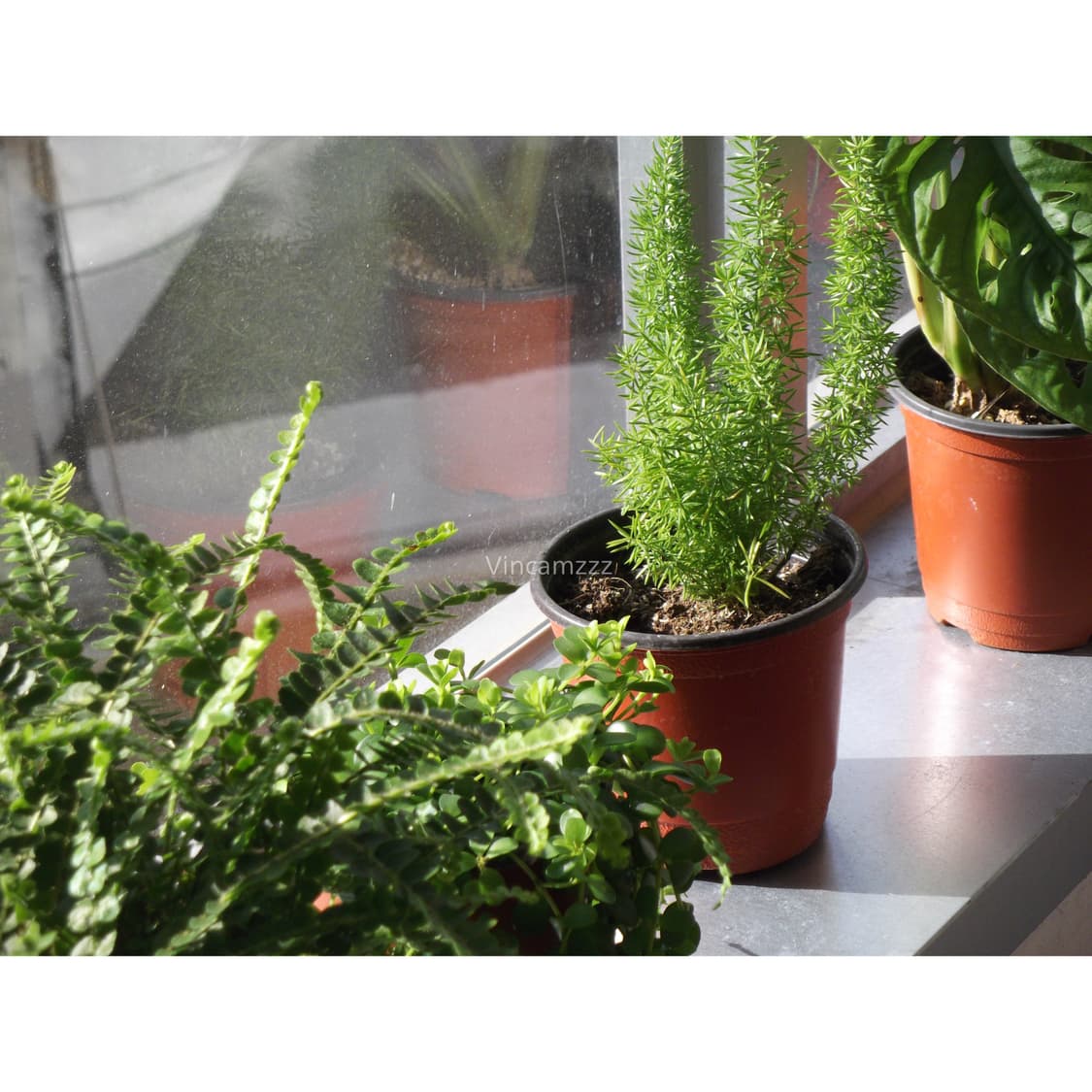 Fujifilm 후지필름 finepix 파인픽스 JX250 디지털 카메라 상품이미지3