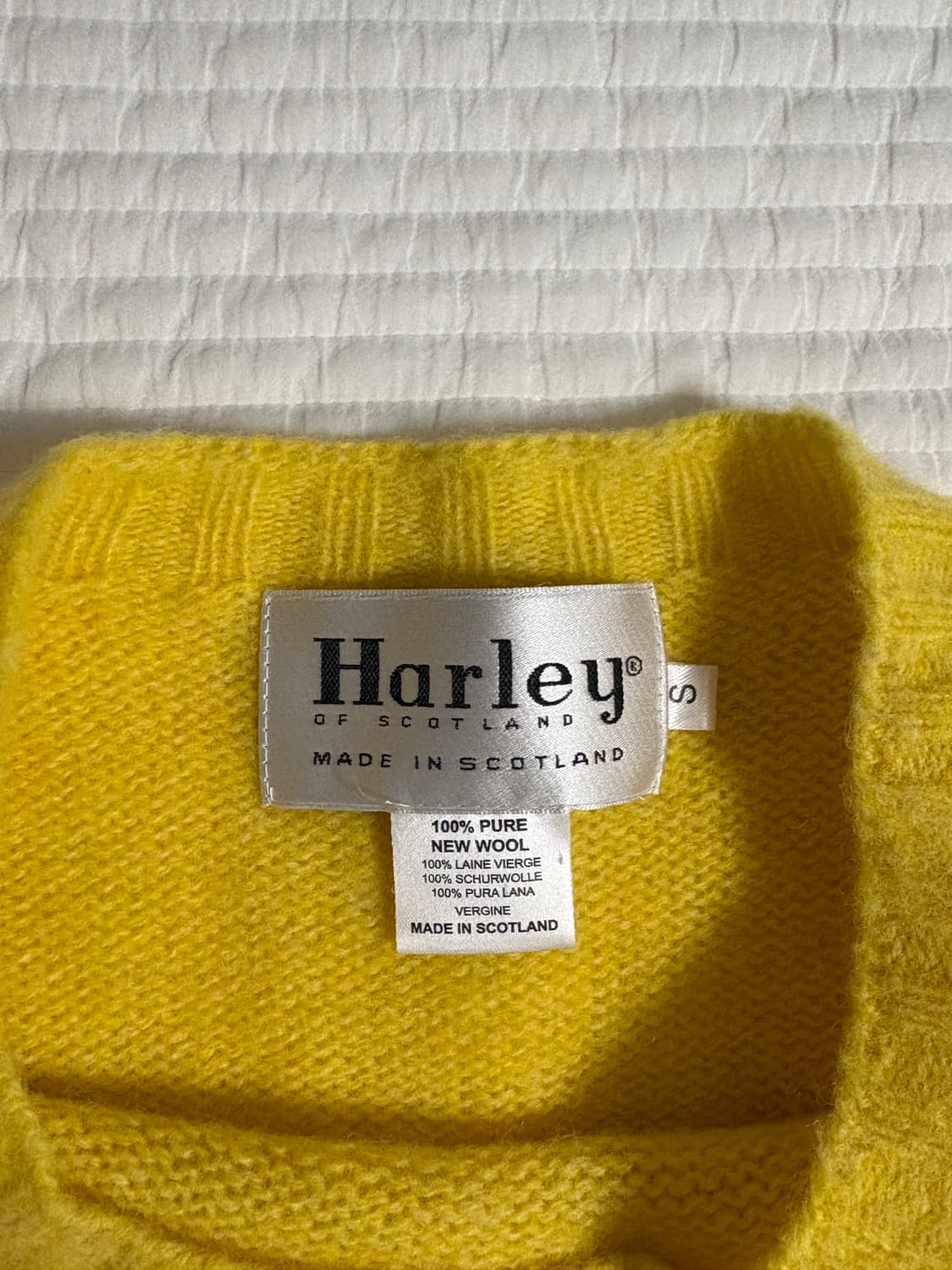 할리 오브 스코틀랜드 쉐기독 s 상품이미지3