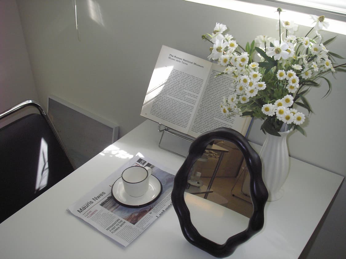 올림푸스ir-300 (작례있음) 상품이미지3