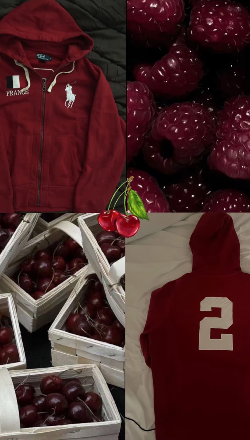 (초희귀)폴로 랄프로렌 빅포니 프랑스 후드집업 상품이미지3