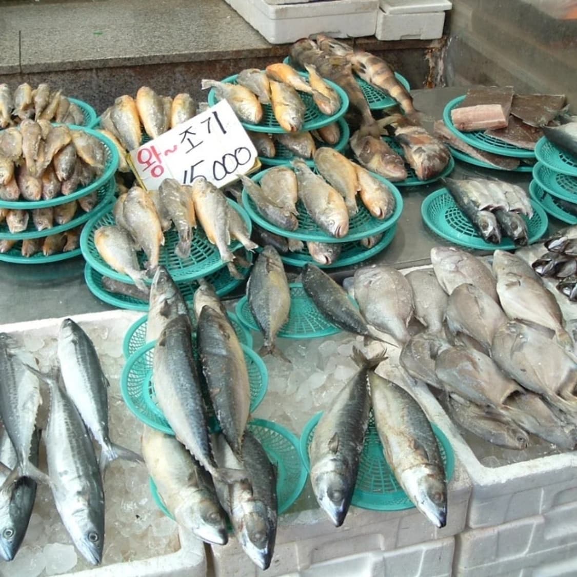 Fuji pinepix 파인픽스 A210+xd카드+스트랩 상품이미지4