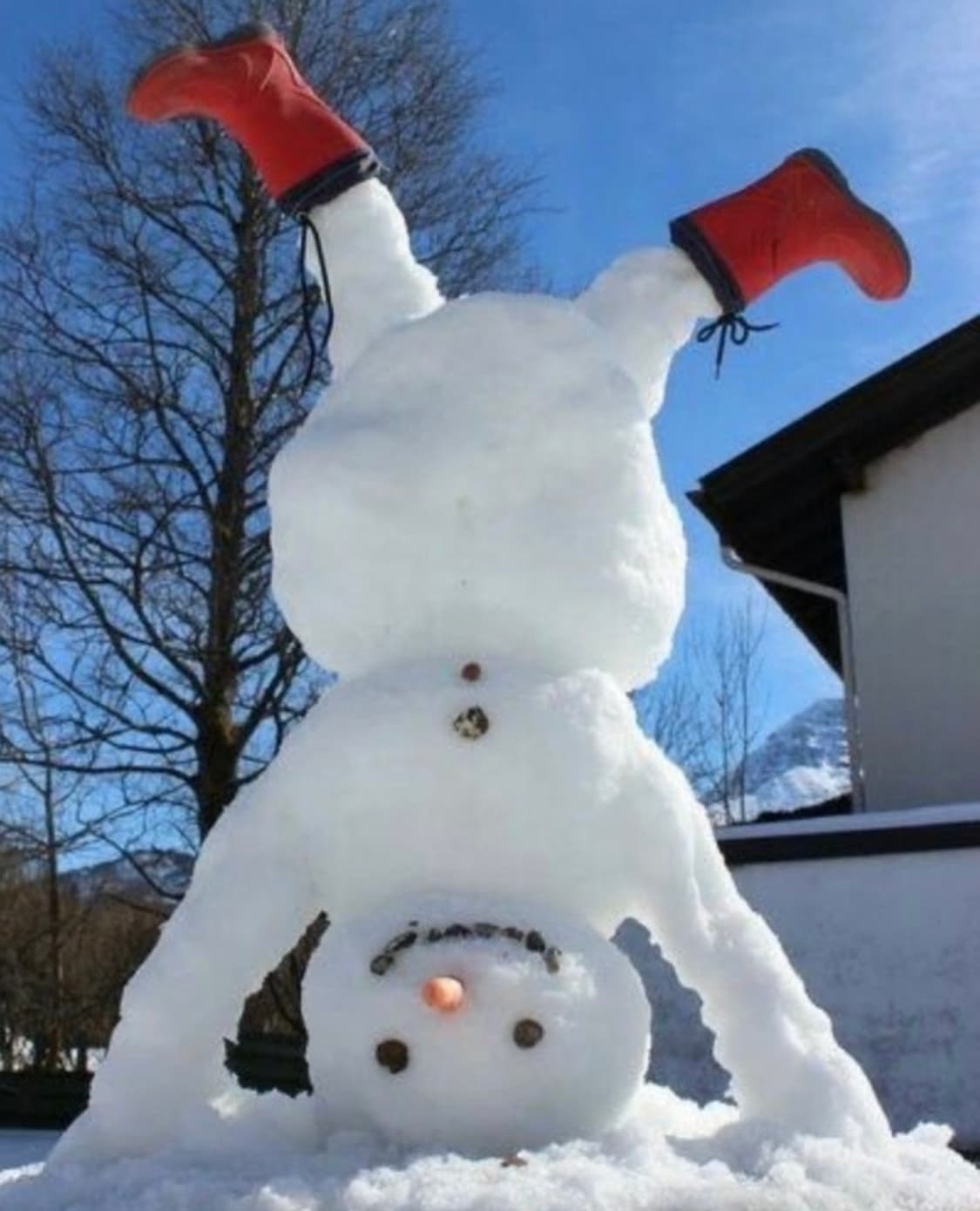 연말 할인💙 상품이미지1