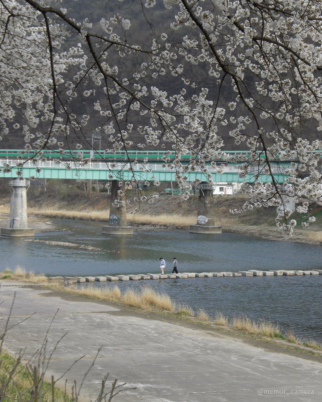 인물컷추천/뽀용작례🩷CASIO Exilim EX-Z77 카시오 디 상품이미지8