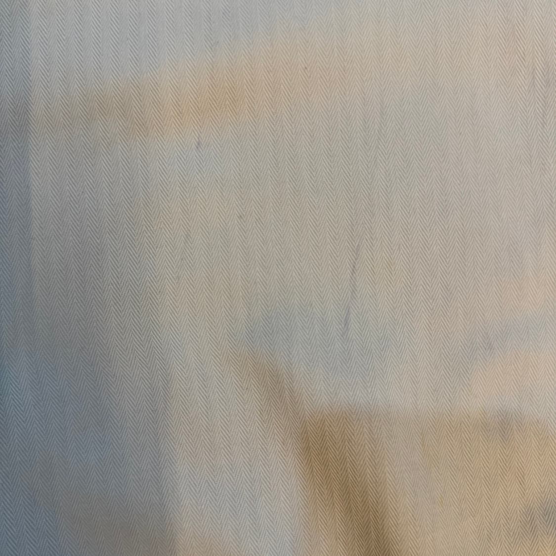 칼하트 반팔 셔츠 상품이미지3
