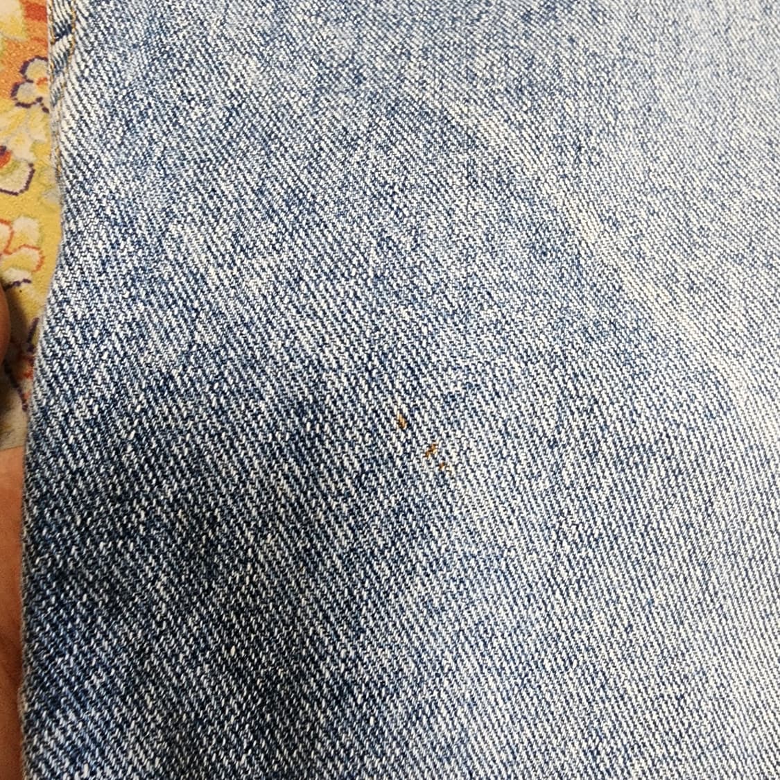 미국) 리바이스 554 데님 반바지
30 상품이미지6