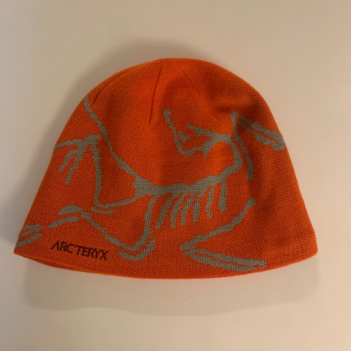 아크테릭스 버드 헤드 토크 페놈 비니 상품이미지1