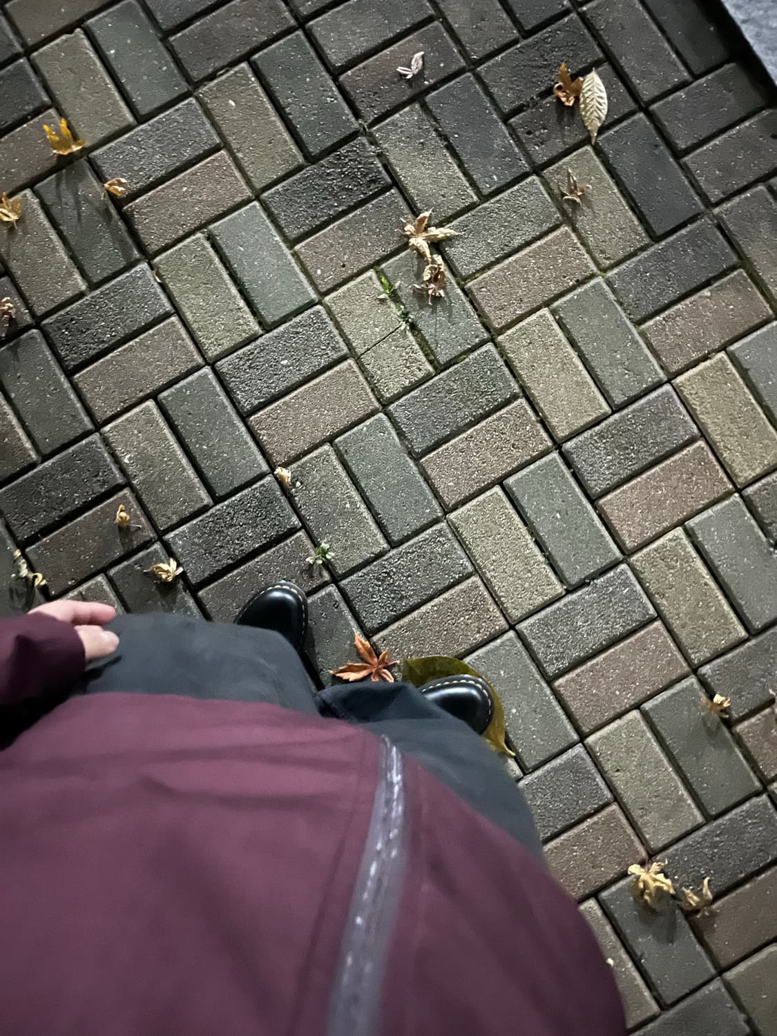 플라스틱프로덕트 서클로고 집 자켓 버건디 상품이미지3