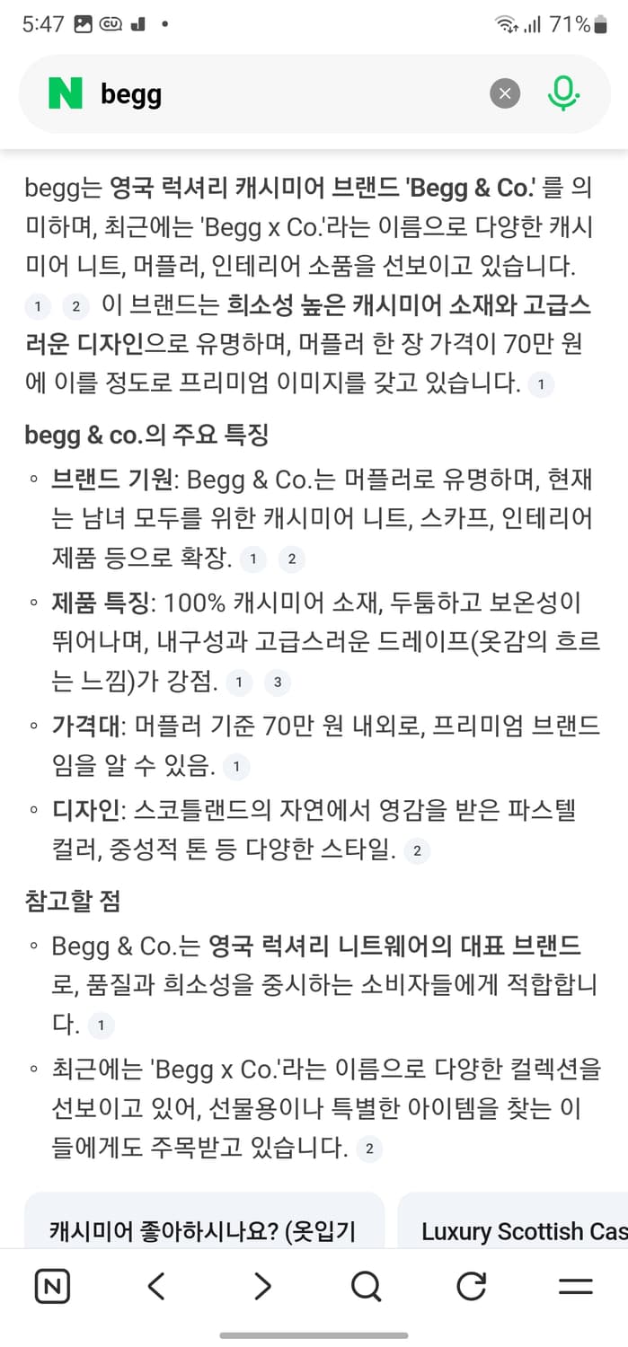 Begg 캐시미어 머플러 상품이미지4