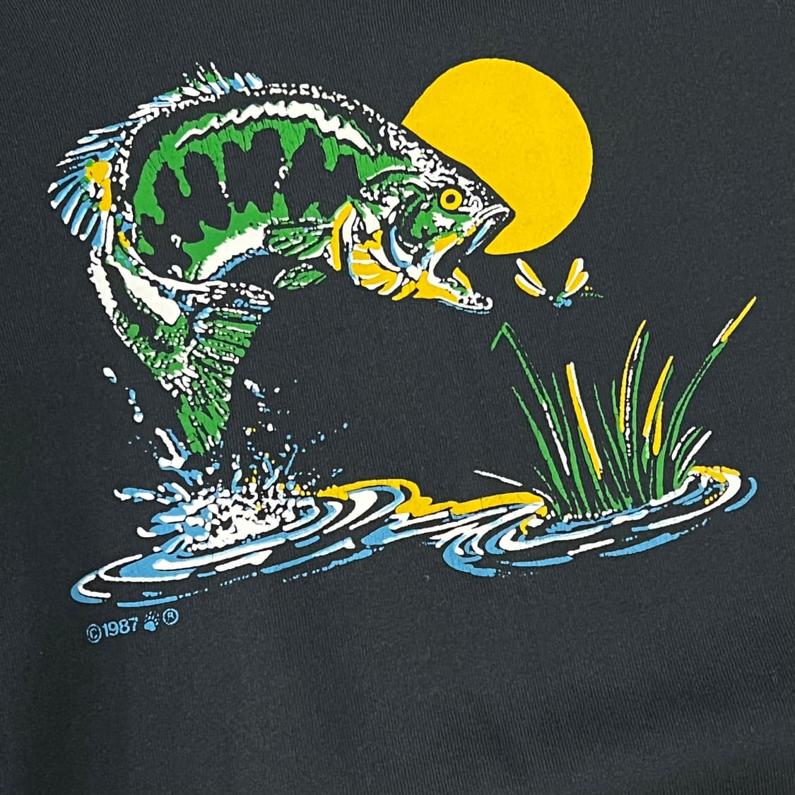  프룻오브더룸 프린팅 스웻셔츠 y14725 상품이미지4