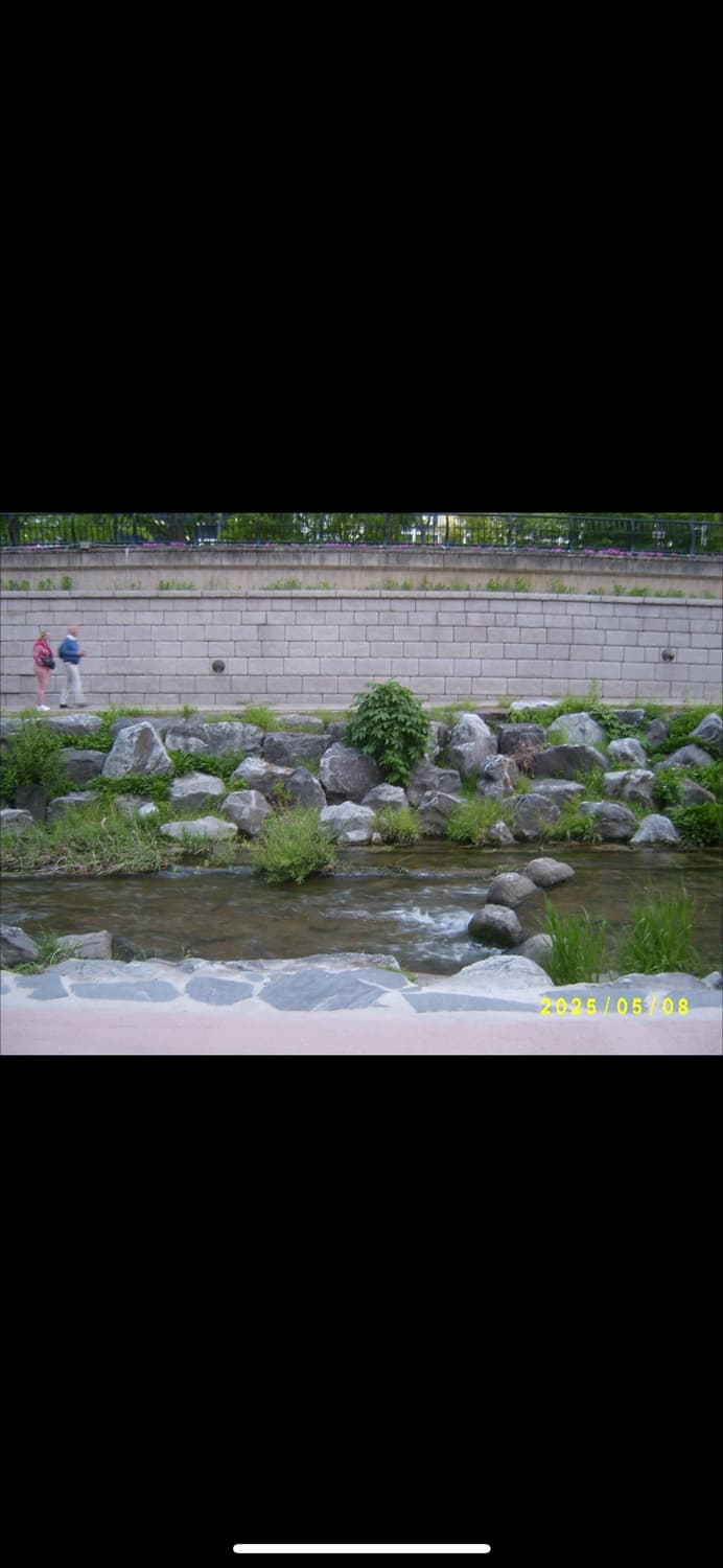 삼성 캐녹스 Digimax 420 상품이미지8