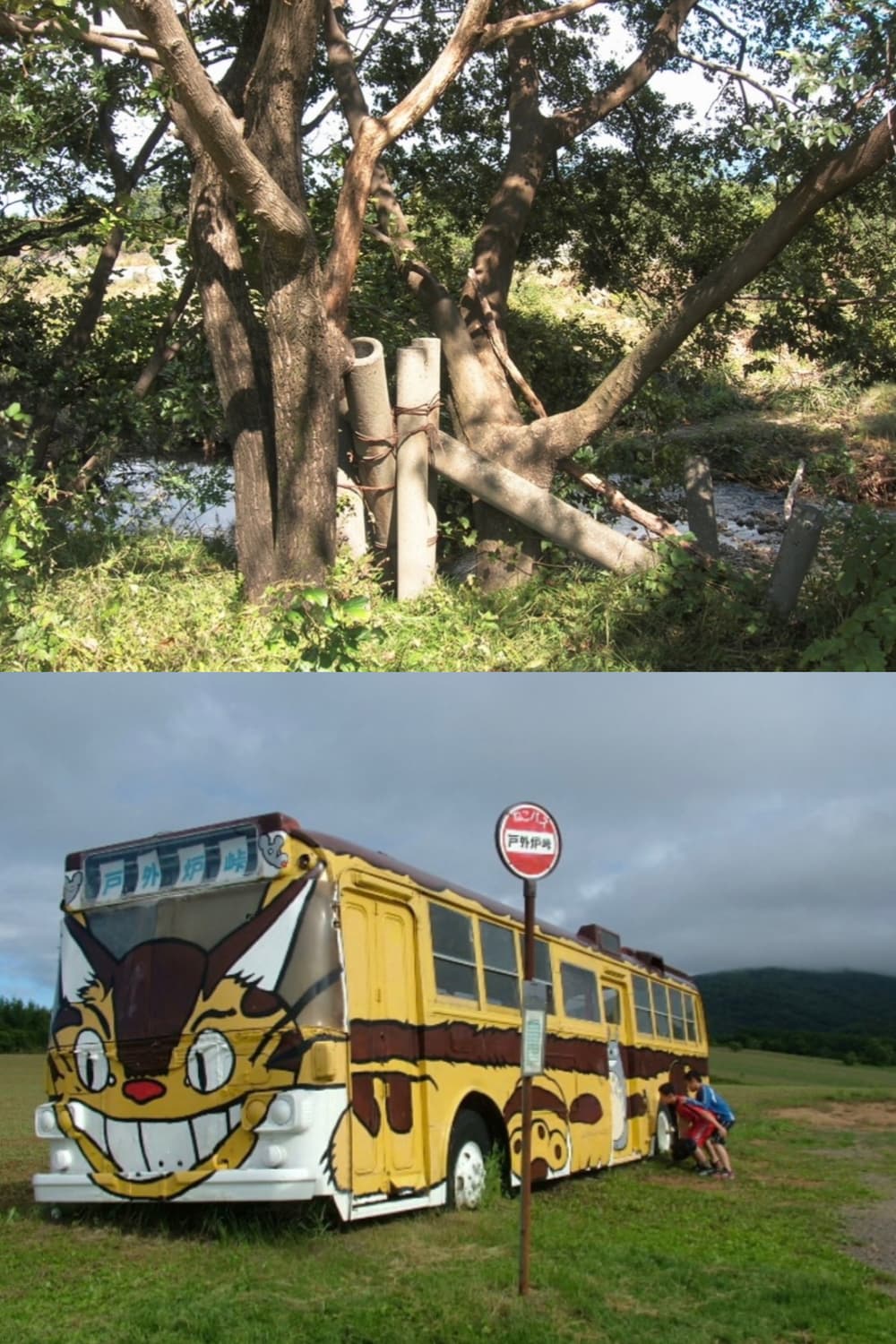 작례🫧𖠳ᐝ니콘 NIKON COOLPIX 5600 상품이미지9