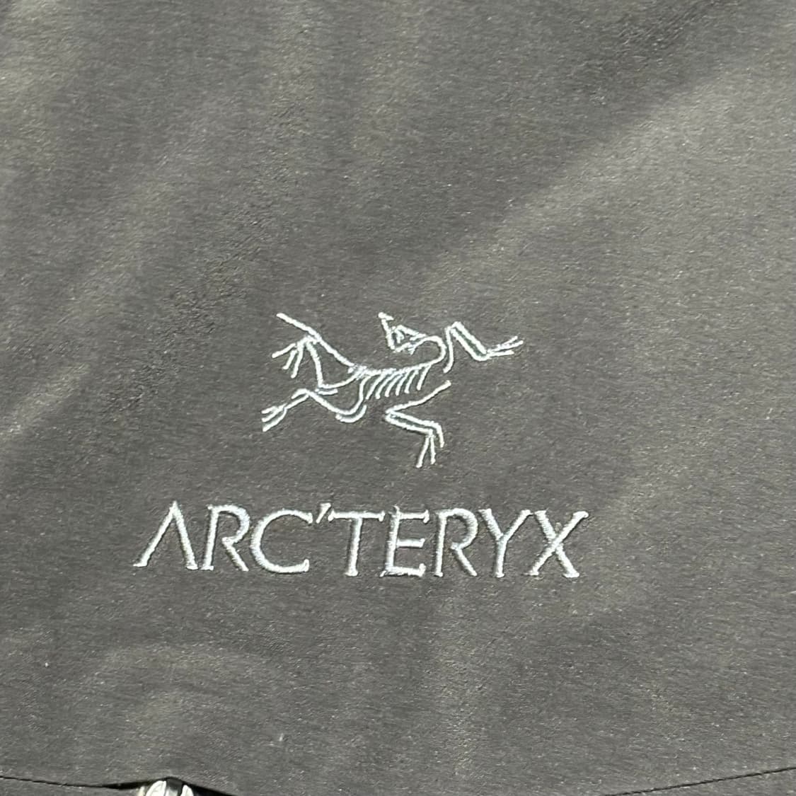 Arc'teryx 피션 sv 고어텍스 블랙 패딩 상품이미지7