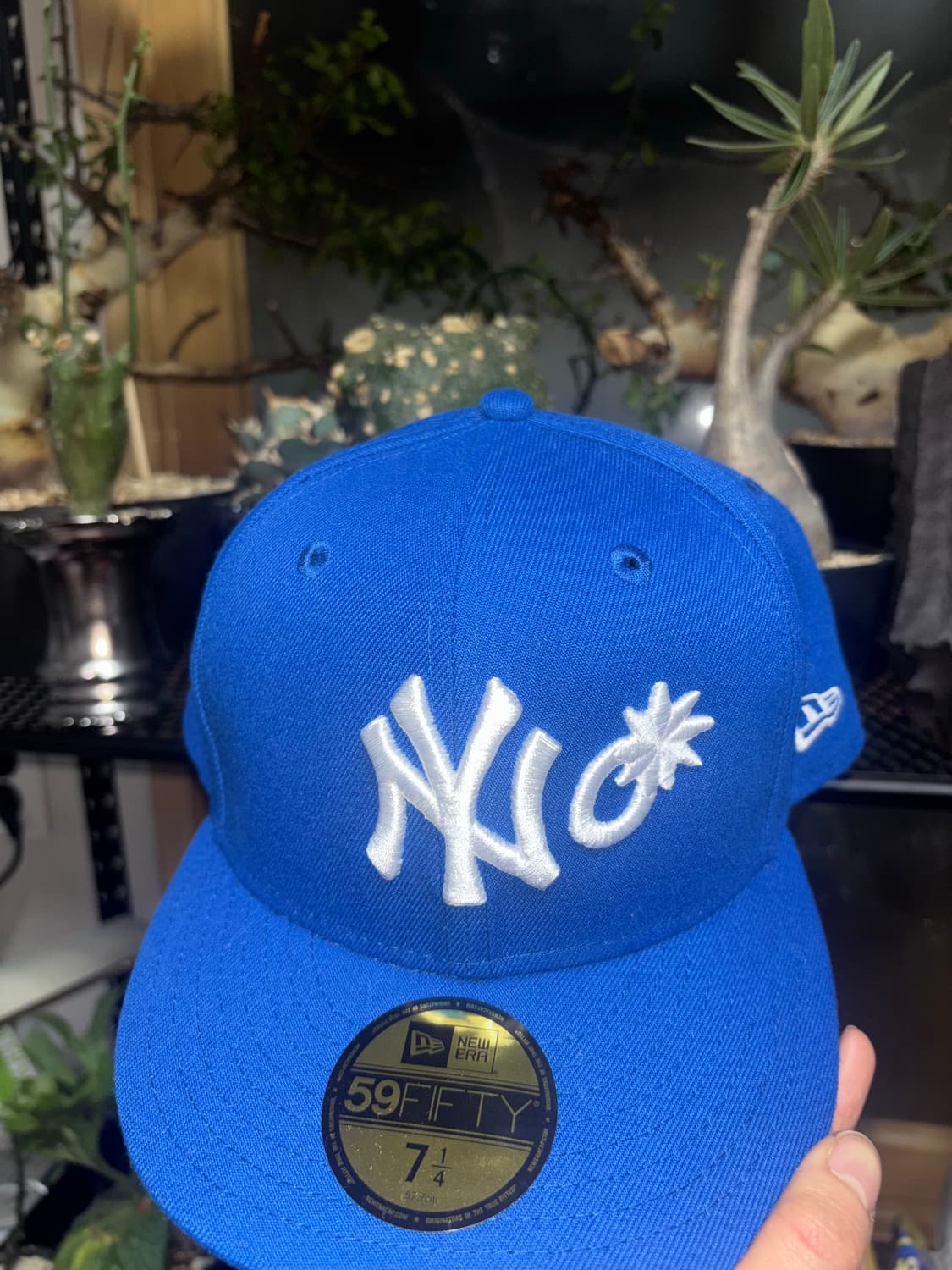 capo 뉴에라 캡 상품이미지2