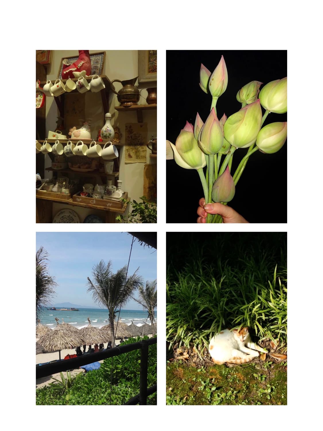 초희귀/작례🫧𖠳ᐝ 소니 SONY CYBER-SHOT DSC-W220 상품이미지3