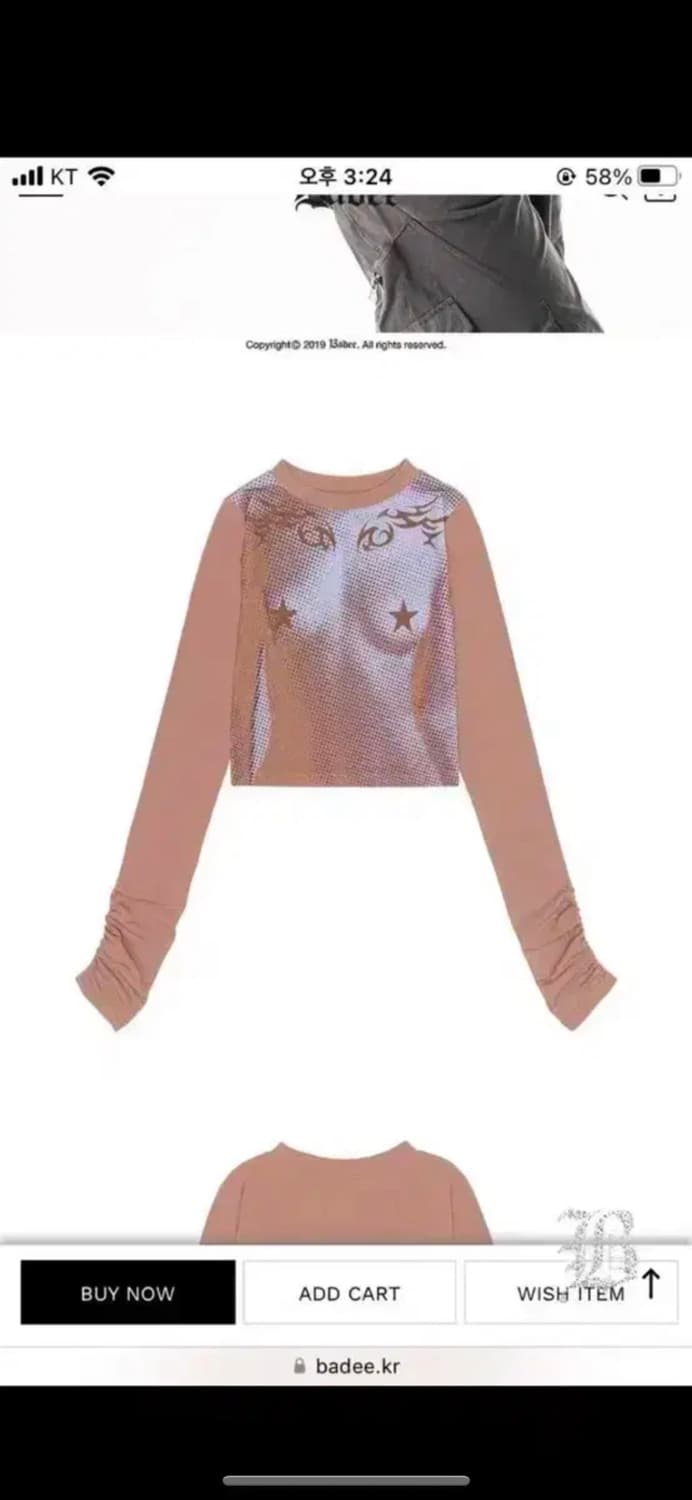 Badee 배디 셔링 티셔츠 탑 HALFTONE MESH SHIRRING 상품이미지7