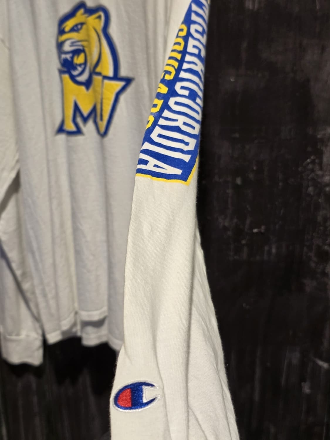 Champion Authentic  Long-Sleeve T-Shirt 상품이미지3