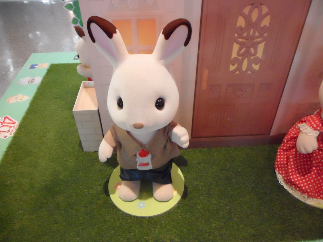 삼성 VLUU PL150 (작례0) 상품이미지6