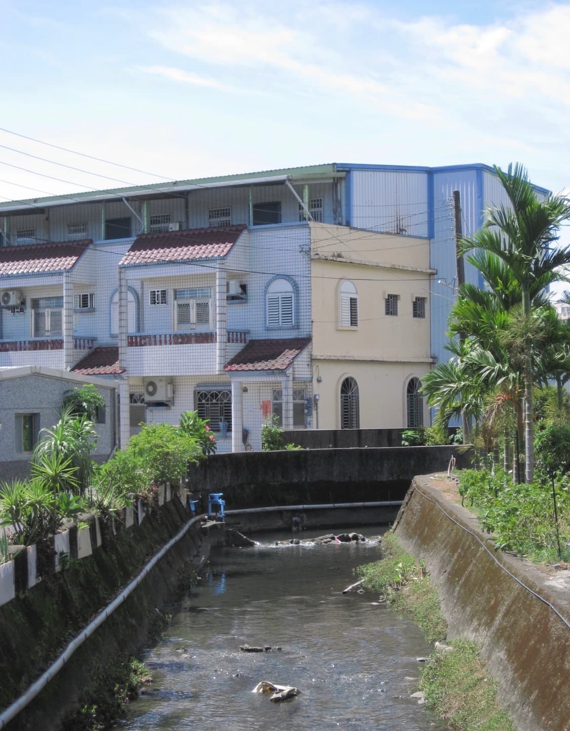 캐논 익서스70 (작례있음) 상품이미지7