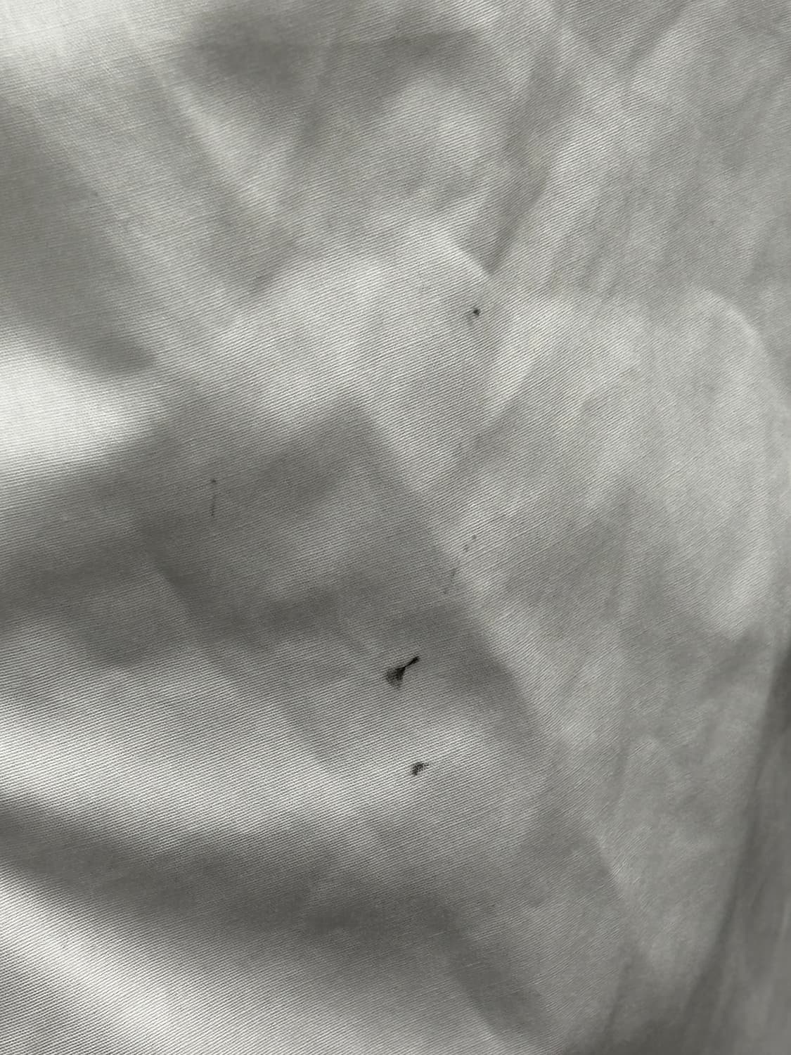 폴로 랄프로렌 남성 화이트 셔츠 XL 상품이미지5