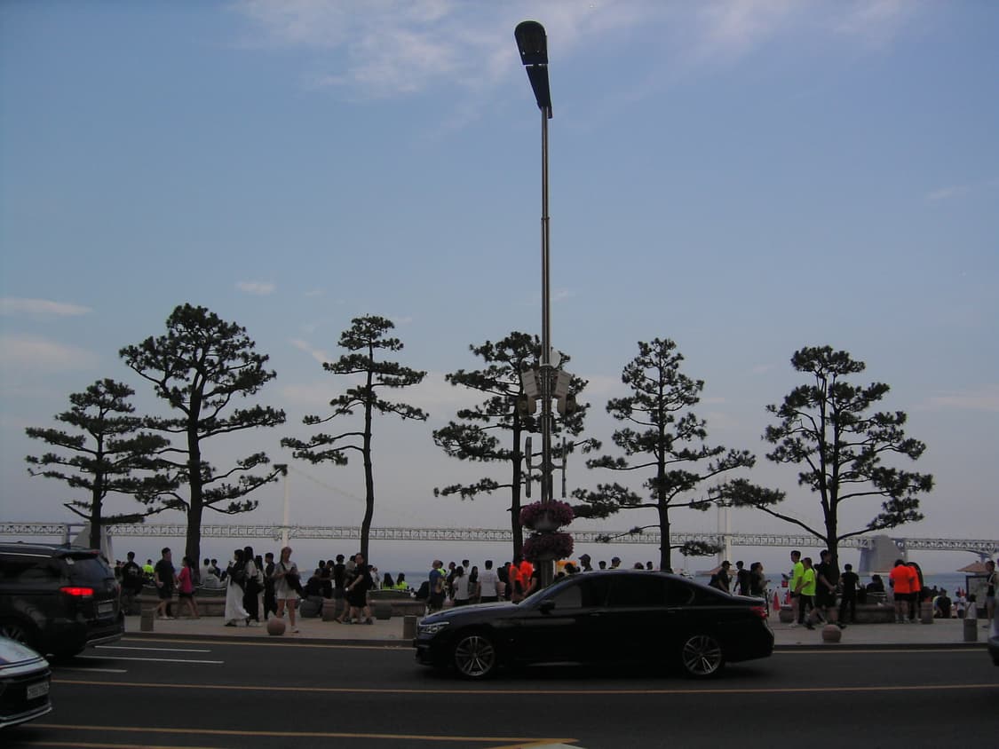 콘탁스 sl300rt* 상품이미지6