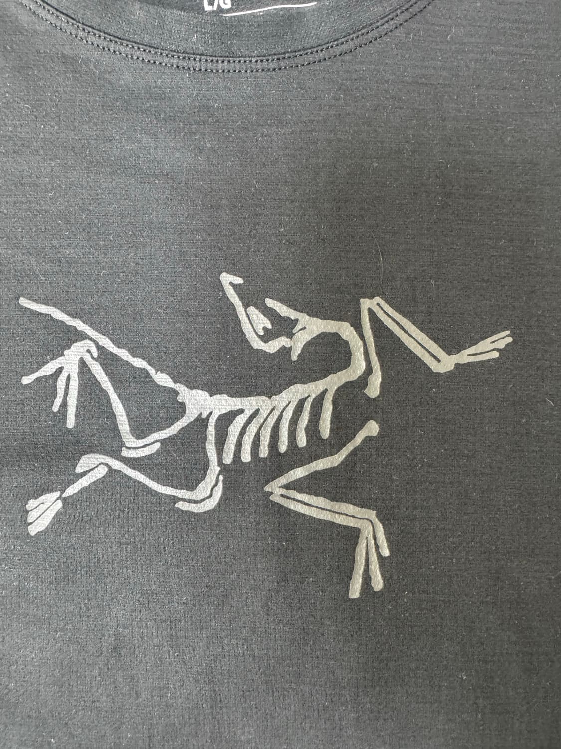 L 아크테릭스 코막 롱슬리브 남성 긴팔 블랙 상품이미지2