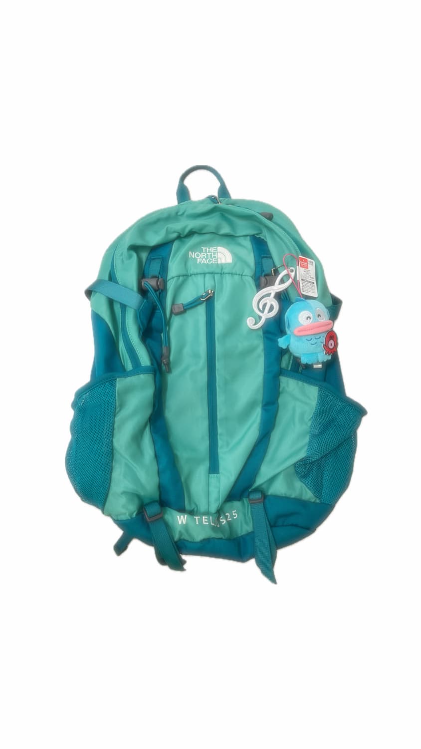 한교동 노스페이스 백팩 TELLUS 25 🌀 상품이미지1