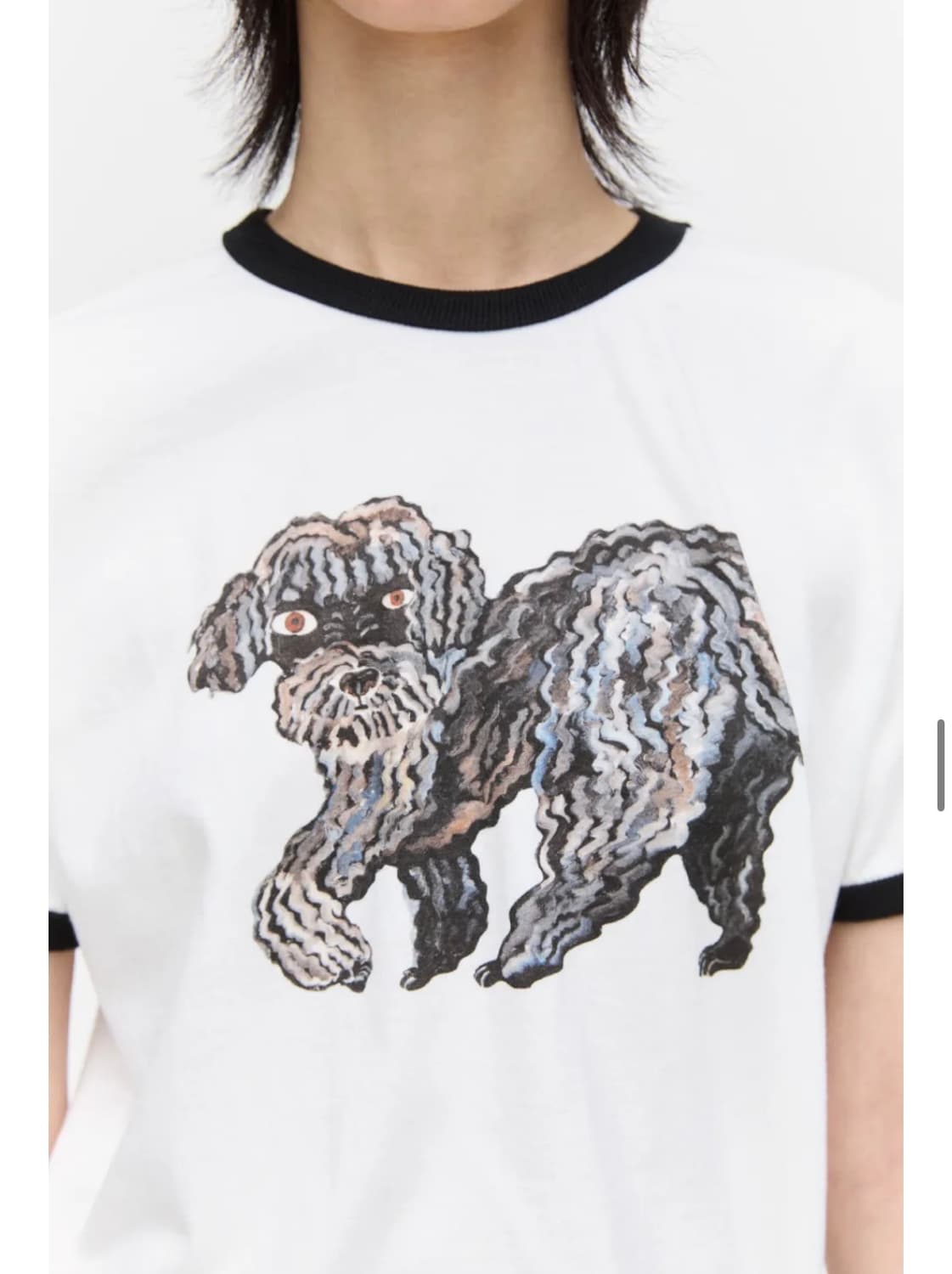 [PLZPROJECT X MINALEE] 플리즈프로젝트 반팔티셔츠 상품이미지2